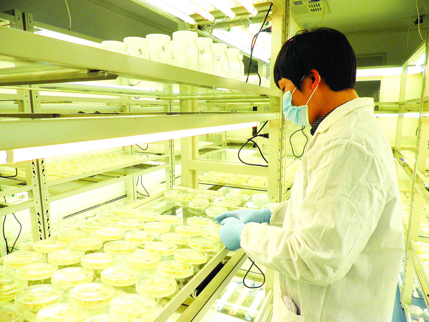 新锡山报数字报-台创园:熠熠生辉的国家现代农业示范区核心区